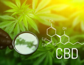 cbd effets immédiats ou non