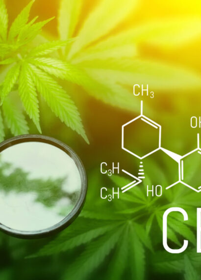 cbd effets immédiats ou non