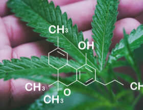 formule moléculaire thc-v